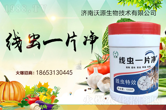 ���Y(ji��)���x�y���������ξ��x�����xһƬ����