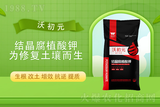 ⛷ʃr(ji��)��߀��(hu��)�q����10��22��⛷ʃr(ji��)������