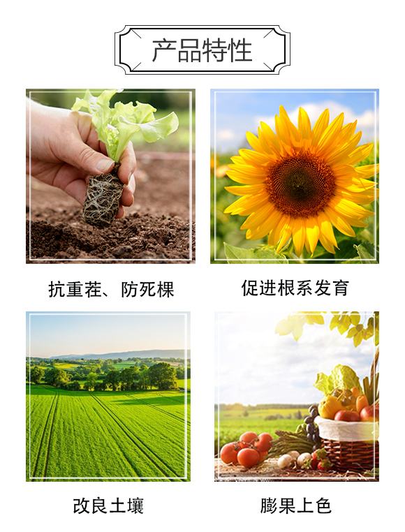 �������ý�-�漚(x��)�Ʉx_03