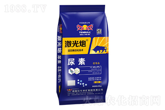 ����ȫ���µ������ջ��ʃr������10��29��