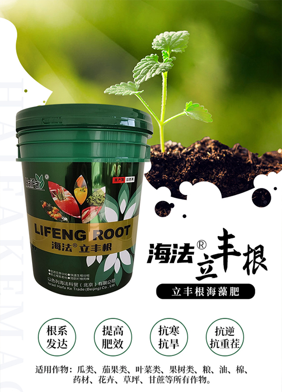 以色列海法科貿(北京)有限公司1_01