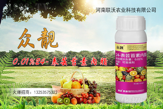 (li��n)���r�I(y��)�m(x��)�s1988.TV���y�ֹ���(chu��ng)���x����