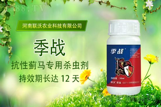 (li��n)���r�I(y��)�m(x��)�s1988.TV���y�ֹ���(chu��ng)���x����