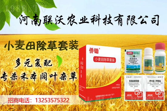 (li��n)���r�I(y��)�m(x��)�s1988.TV���y�ֹ���(chu��ng)���x����