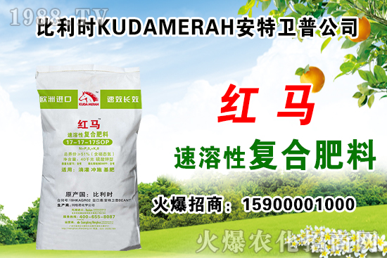 �ͺϷʳ��S��r��11��12�ՏͺϷʃr������