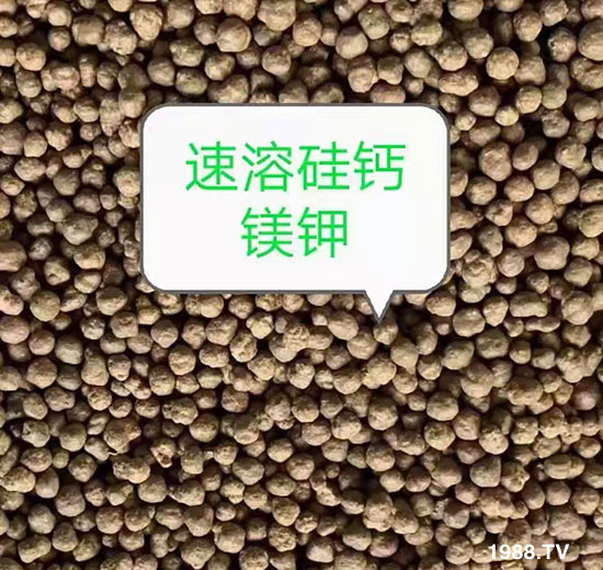 ���ܹ��}��V-�P����