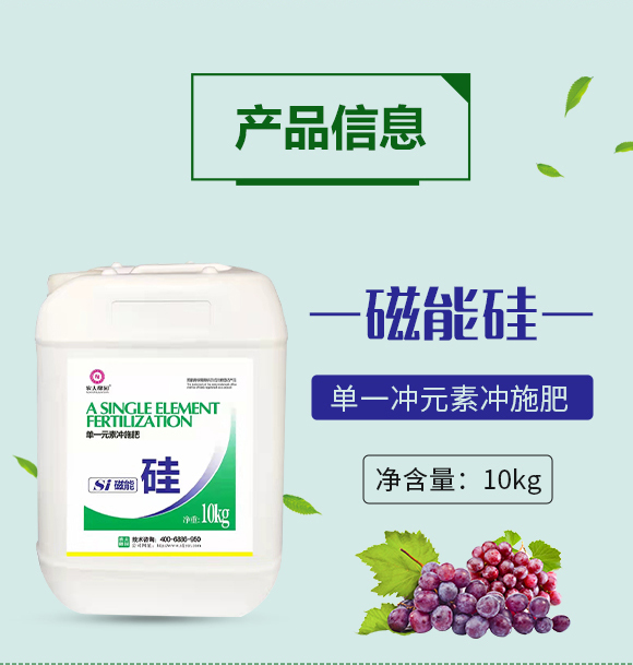 ���ܹ�-�r(n��ng)��ڈ@_02