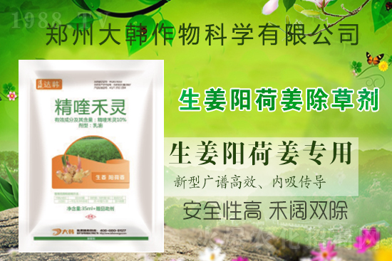 ��ꖺɽ���ô���ݣ����ش�ʲô���݄�����ꖺɽ����ݷ�����ע�����