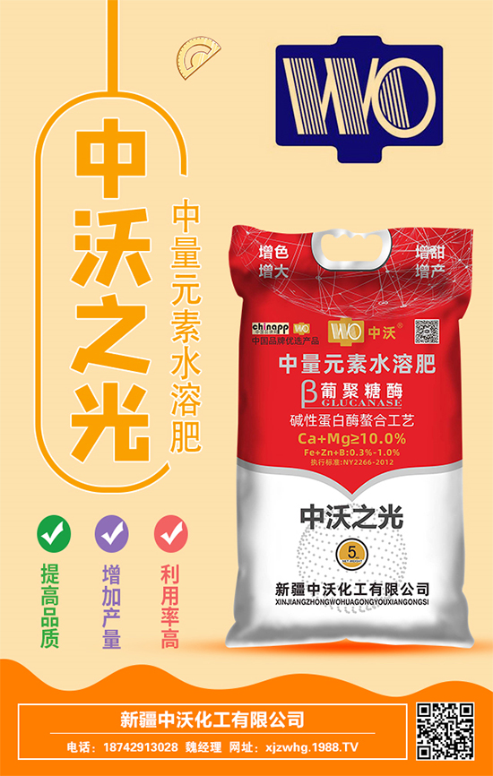 ���ֻ����m(x��)�s1988.TV���y���r(n��ng)���W(w��ng)�ل�(chu��ng)���x����