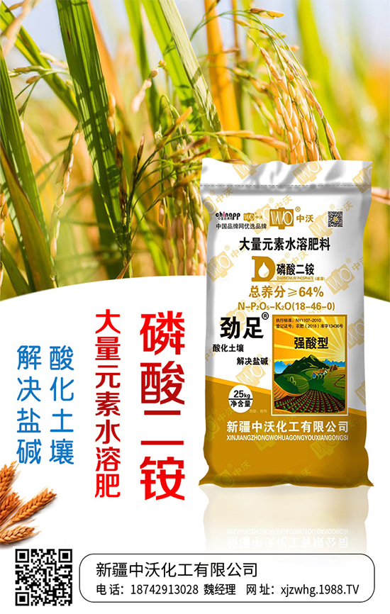 ���ֻ����m(x��)�s1988.TV���y���r(n��ng)���W(w��ng)�ل�(chu��ng)���x�ͣ�