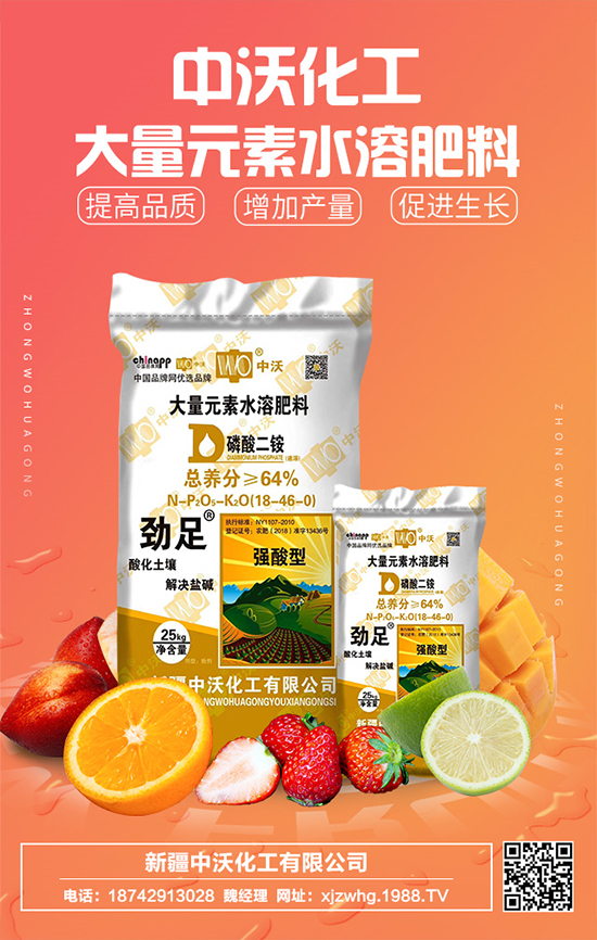 ���ֻ����m(x��)�s1988.TV���y���r(n��ng)���W(w��ng)�ل�(chu��ng)���x����