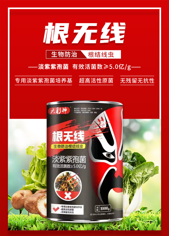 �����f�����ﱣ�o(h��)���޹�˾_01