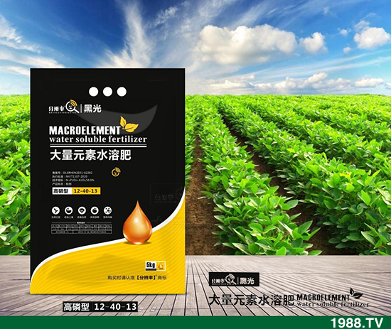 ����(w��n)�\(y��n)�У�2021.12.31����������@�r(ji��)��