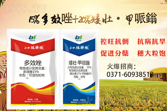 С����ǰ���L�a(ch��n)���pʧ����С���������x���������ֶա���