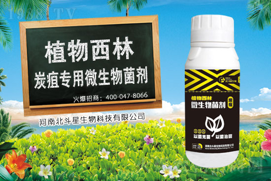 2021年2月3日農(nóng)藥乙蒜素價格快訊