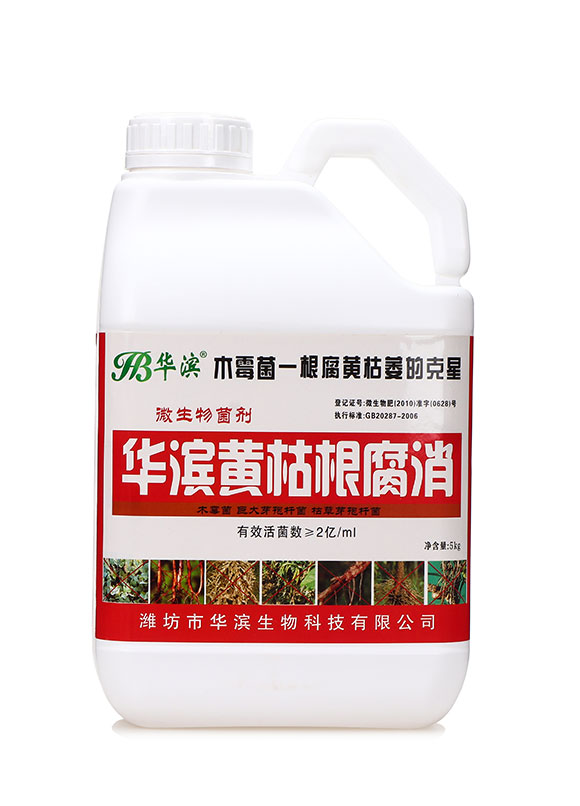 �S�ݸ�����-�A�I1