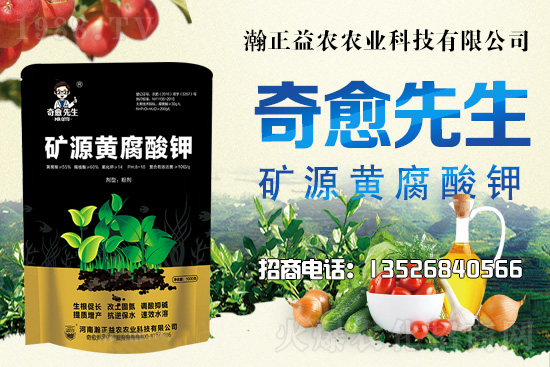 水稻價(jià)格還將上漲！上行空間有多大？附:當(dāng)前水稻價(jià)格