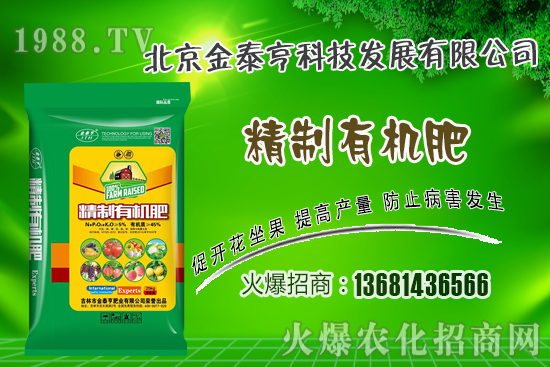 春季草莓該如何管理？草莓肥水管理技術！