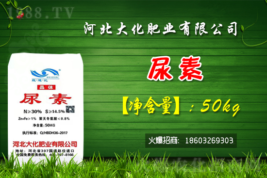 紅香蜜葡萄苗多少錢一棵？種植前景如何？