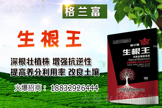 2021��3��1�Ֆ|���󶹃r���λ��(w��n)��