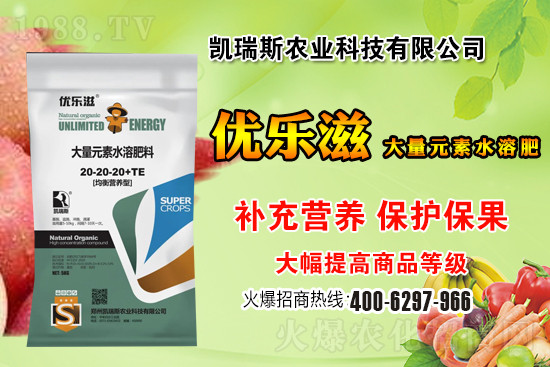 2021��3��11�����a(ch��n)�^(q��)С���r������