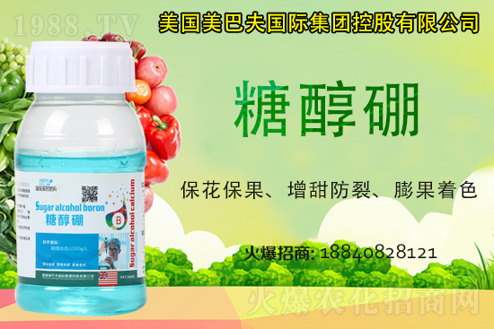 ���յ��ȶ����Xһ����2021�굾�ȃr���Ƿ�߀���q��