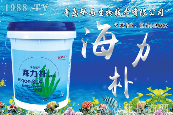 ѩ����r(ji��)������Xһ����2021��Nֲѩ����ٍ�X����