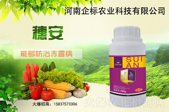 2��4���c���݄��r���߄�2021.3.13