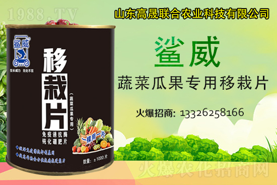 �����������������L������...���߲˶�ֲ�ؿ�