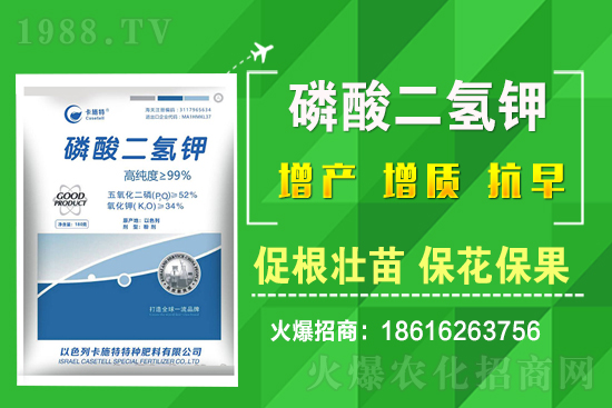 ���˷Nֲ��Ҫע����Щ���}�����˷Nֲԓ��ôʩ�ʣ�