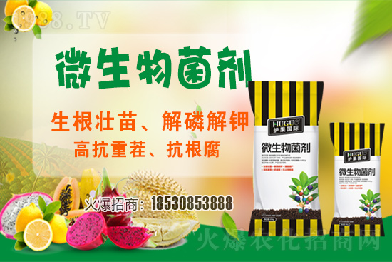 ��ݮ�����F(xi��n)���l���l(f��)������ҪԴ��ʲô������