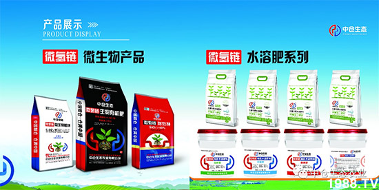 ���˟o(w��)ζ���ϲ����������㡱�ǻ����ǵĵ���