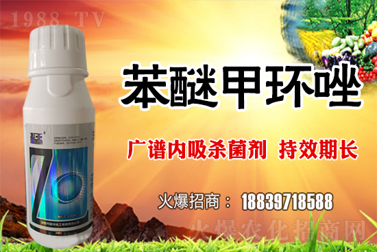 �������L(f��ng)�U�Ӵ���������ö�С�����o(h��)������