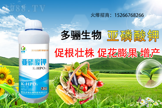 3月份適合種植什么藥材？哪些藥材種植前景好又賺錢(qián)