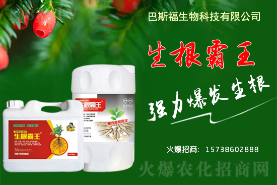 2021��4��20��ȫ��(gu��)���ش󶹬F(xi��n)؛��(b��o)�r(ji��)