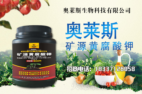 �`֥���a(ch��n)����(ji��)��ʲô�r�����`֥���϶�ľ�������༼�g(sh��)��