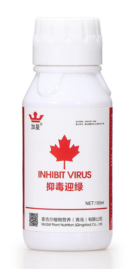 抑毒迎綠（專治病毒?。?綠肥5