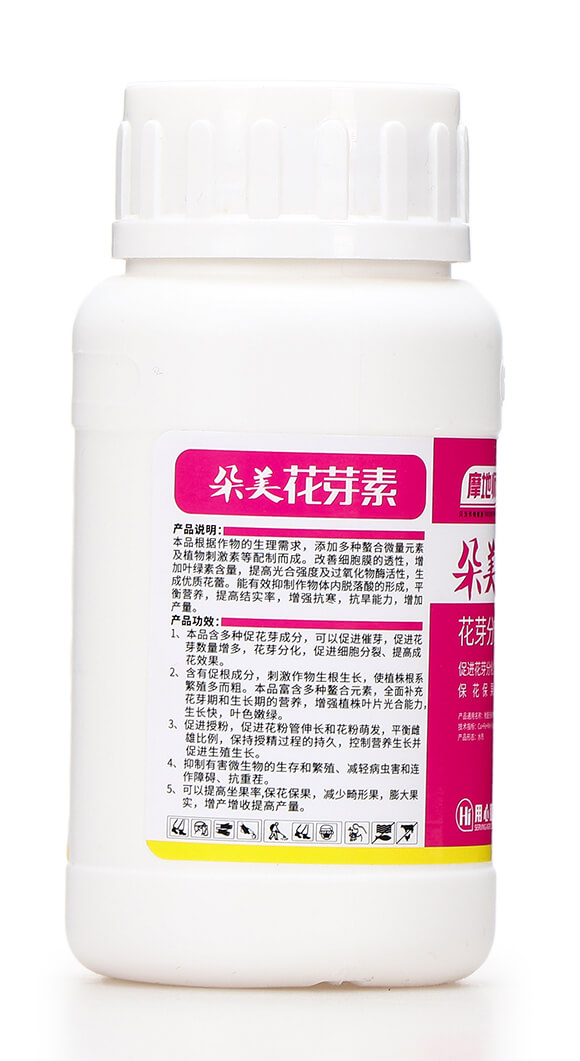 240�˶�����ѿ�� Ħ�؎�6