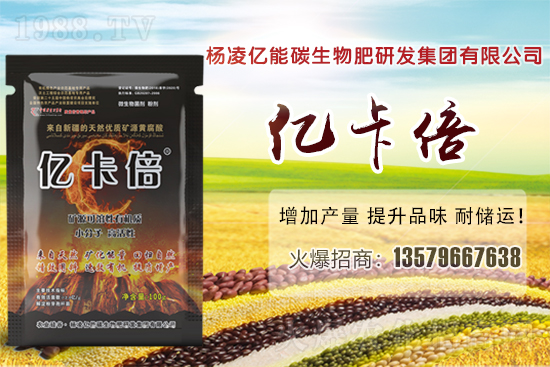 ���}�ۮa(ch��n)�����҇���Щʡ�������}������Щ��ҊƷ�N��