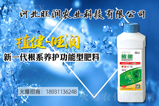 �{ݮ������ô�Nֲ���{ݮ����ķNֲ���޼����ݼ��g(sh��)��