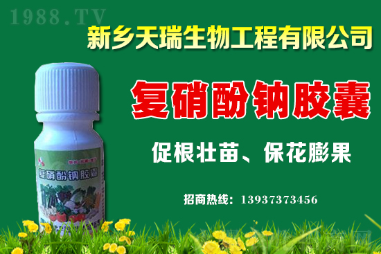 С���r(ji��)��