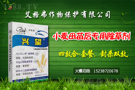 2021��4��9�ճ��݄��r(ji��)����?q��ng)?b��o)