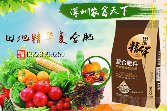 ��������(j��)���������A���r(n��ng)�������ٺ�1988.TV��(chu��ng)���x�ͣ�