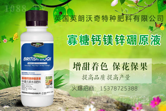 Ӣ������ɹ����s1988.TV���y�ֹ���(chu��ng)��(zh��n)����