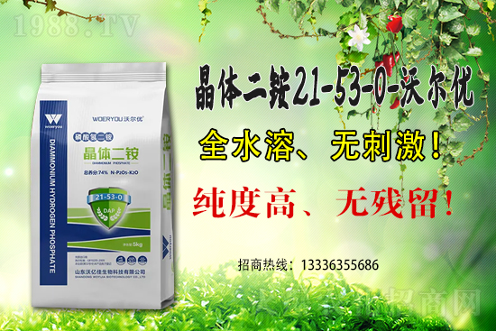 ���@�߃r(ji��)�����ڇ�(gu��)��(n��i)���@�r(ji��)��������?q��ng)?b��o)��6��15��