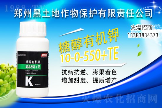 ⛷ʃr���j��500Ԫ/����2021��6��15��⛷ʃr������