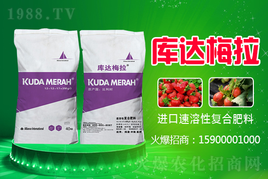 �t���Ǐ�(f��)�Ϸʶ����Xһ����2021.6.16���ʃr(ji��)�������(b��o)�r(ji��)