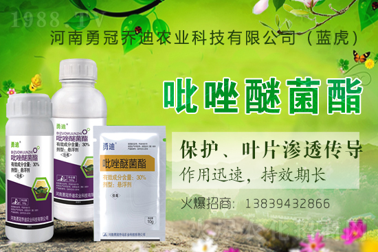 �����������¹چ̵ϣ��{�����ٺ�1988.TV������(chu��ng)���x�ͣ�