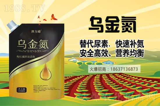 �����������������2021��6��19�����؃r�������Ո�