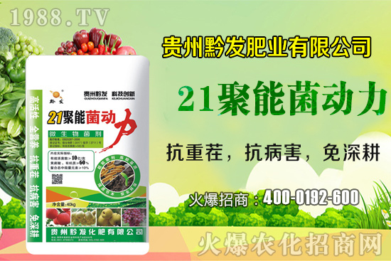 ǭ�l(f��)�ʘI(y��)�ٶȔy��1988.TV���y�ִ����������E��